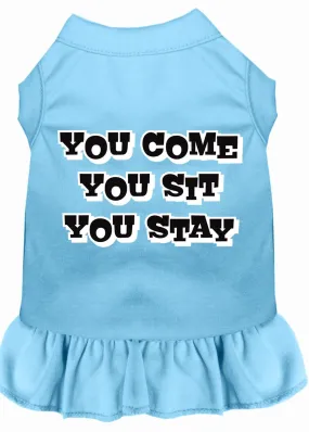 You Come, You Sit, You Stay Screen Print Dress Baby Blue Xl (16)